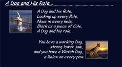 poem webpage